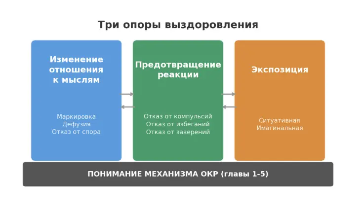 Гайд по ГОМО-ОКР-1775988874317.webp